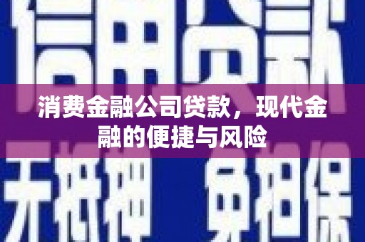萨嘎消费金融公司贷款，现代金融的便捷与风险