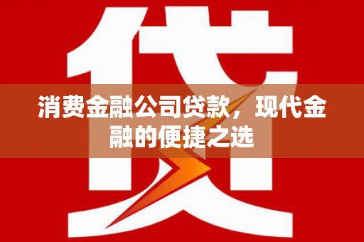 萨嘎消费金融公司贷款，现代金融的便捷之选