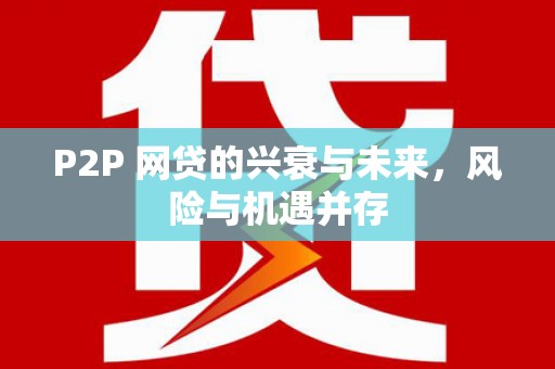 萨嘎P2P 网贷的兴衰与未来，风险与机遇并存