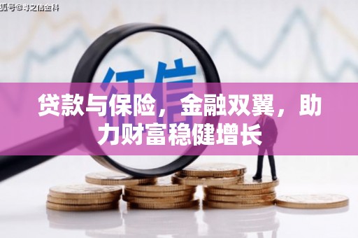 萨嘎贷款与保险，金融双翼，助力财富稳健增长