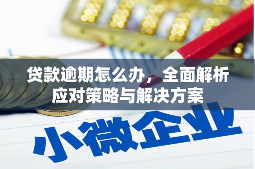 萨嘎贷款逾期怎么办，全面解析应对策略与解决方案