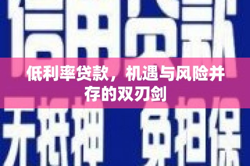 萨嘎低利率贷款，机遇与风险并存的双刃剑