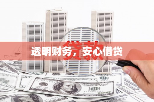 萨嘎透明财务，安心借贷