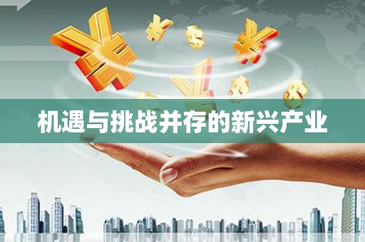 萨嘎机遇与挑战并存的新兴产业