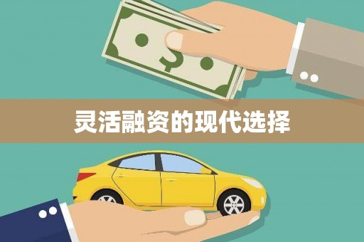 萨嘎灵活融资的现代选择