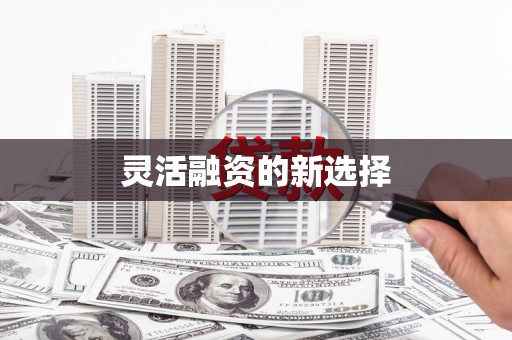 萨嘎灵活融资的新选择