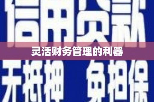 萨嘎灵活财务管理的利器