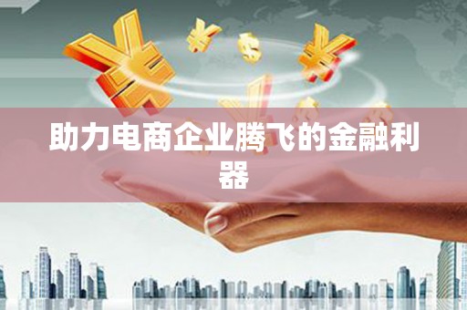 萨嘎助力电商企业腾飞的金融利器