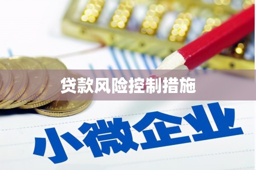 萨嘎贷款风险控制措施