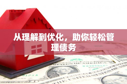 萨嘎从理解到优化，助你轻松管理债务