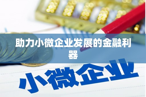萨嘎助力小微企业发展的金融利器