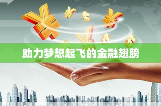 萨嘎助力梦想起飞的金融翅膀