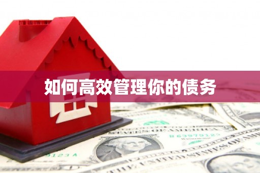 萨嘎如何高效管理你的债务
