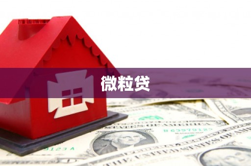 萨嘎微粒贷