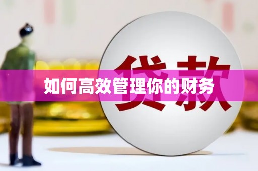 萨嘎如何高效管理你的财务