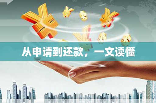 萨嘎从申请到还款，一文读懂