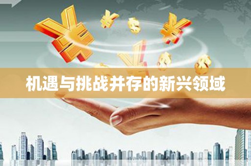 萨嘎机遇与挑战并存的新兴领域