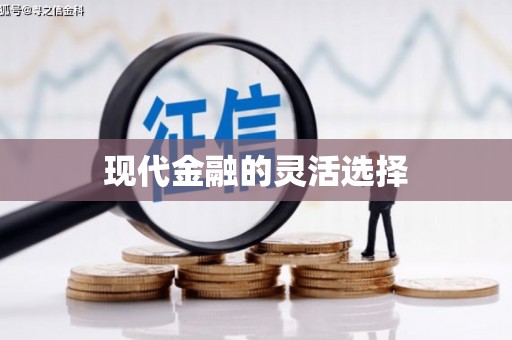 萨嘎现代金融的灵活选择