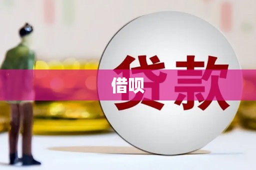 萨嘎借呗