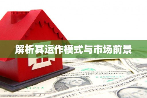 萨嘎解析其运作模式与市场前景
