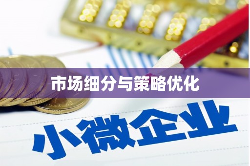萨嘎市场细分与策略优化