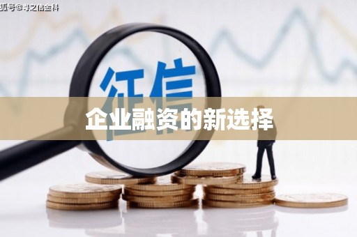 萨嘎企业融资的新选择