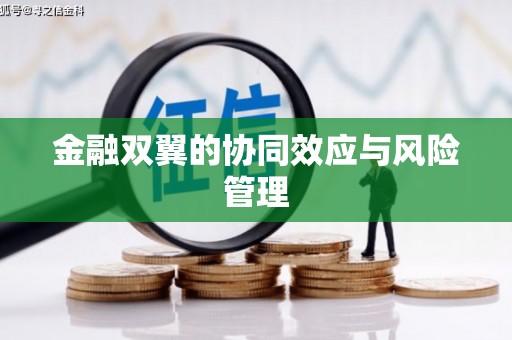 萨嘎金融双翼的协同效应与风险管理