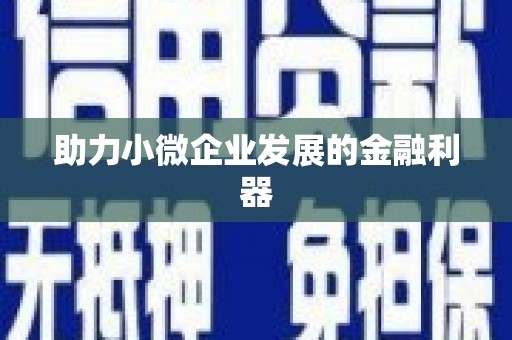 萨嘎助力小微企业发展的金融利器