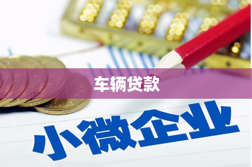 萨嘎车辆贷款