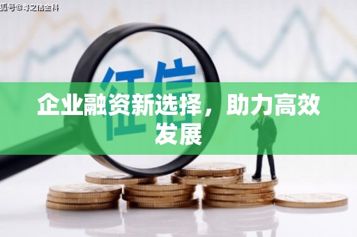 萨嘎企业融资新选择，助力高效发展