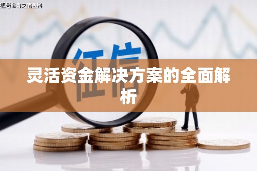 萨嘎灵活资金解决方案的全面解析