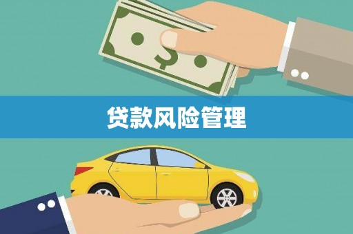 萨嘎贷款风险管理