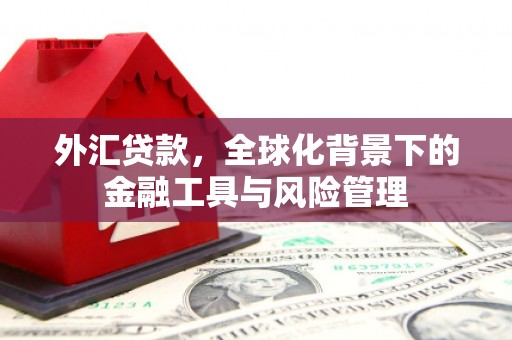萨嘎外汇贷款，全球化背景下的金融工具与风险管理