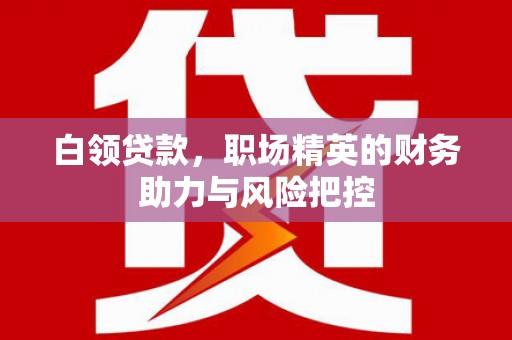 萨嘎白领贷款，职场精英的财务助力与风险把控
