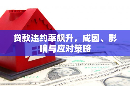 萨嘎贷款违约率飙升，成因、影响与应对策略